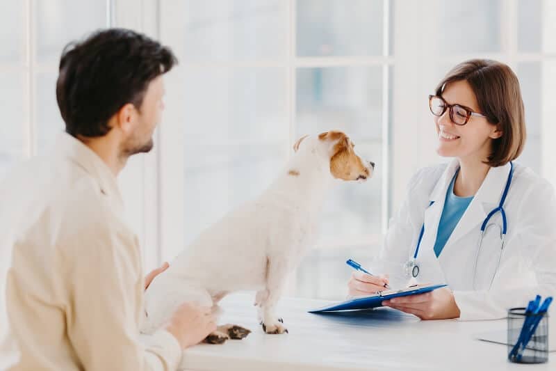 O número de clínicas veterinárias também cresceu nos últimos anos.