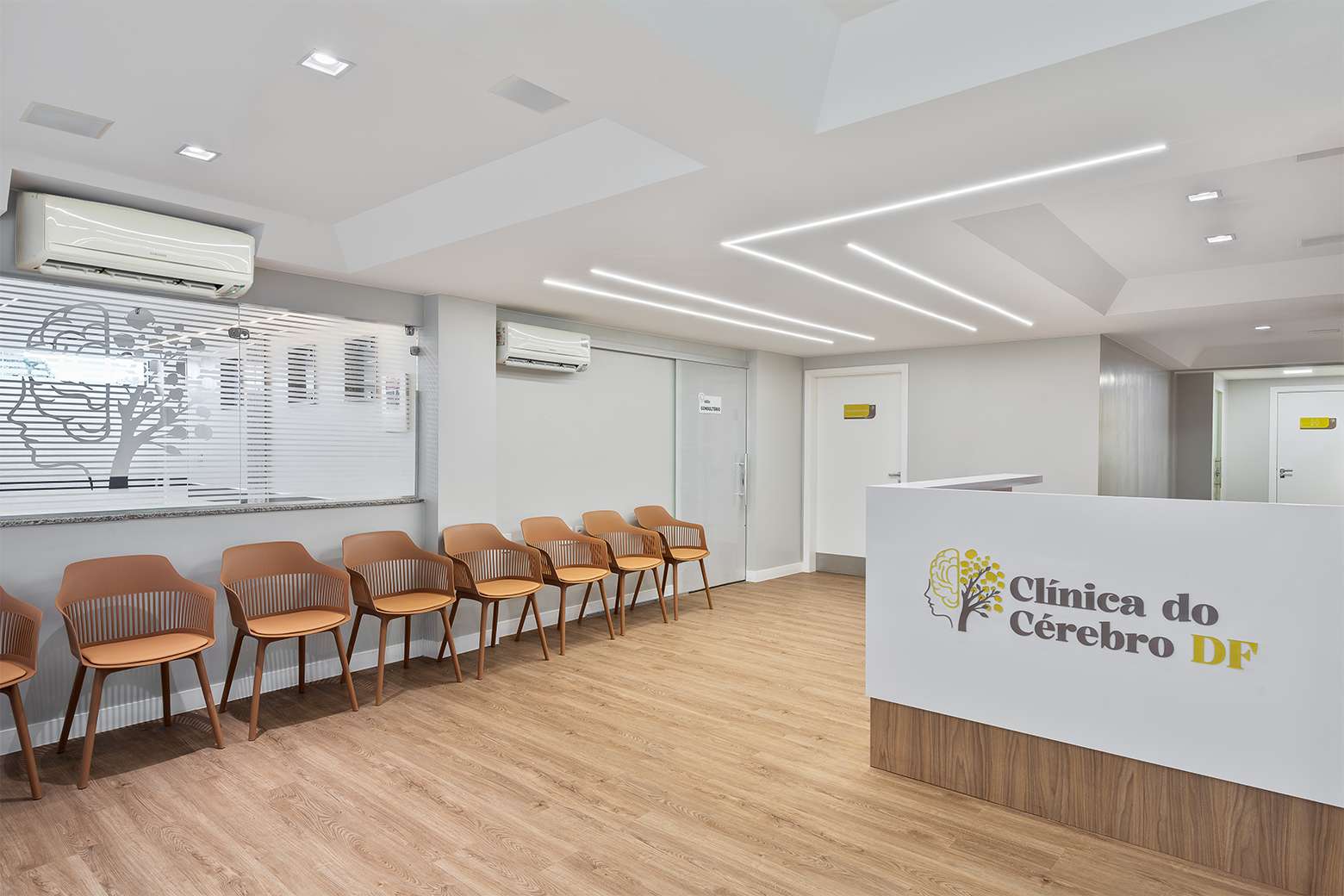PROJETO CLINICA DO CEREBRO 7 1